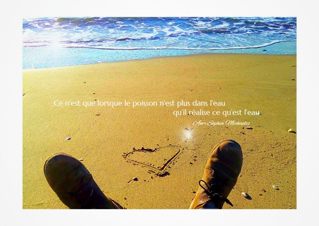 ce-n'est-que-lorsque-le-poisson-poster
