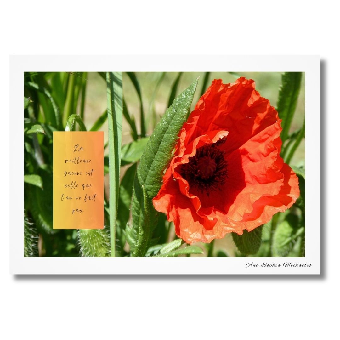 poster-la-meilleure-guerre-est-celle ...